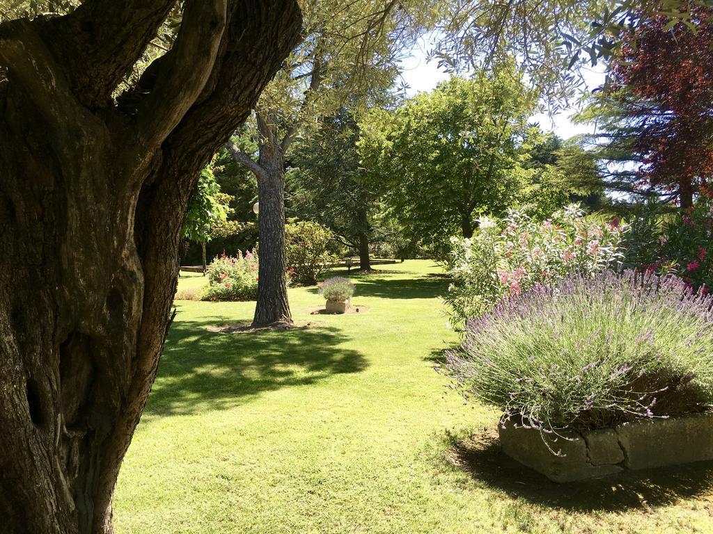 Villa Mas St Jean Noves Екстер'єр фото
